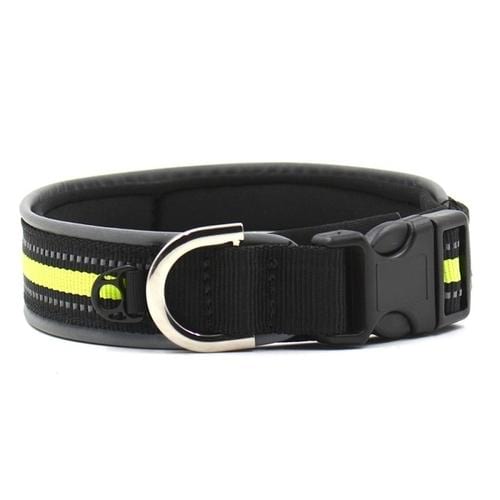 All Dogs Outdoor Light Reflective Puppy Collar - The Bloodhound Shop