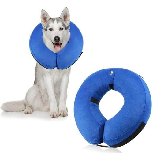 Inflatable All Dogs Healing Collar Protective - The Bloodhound Shop