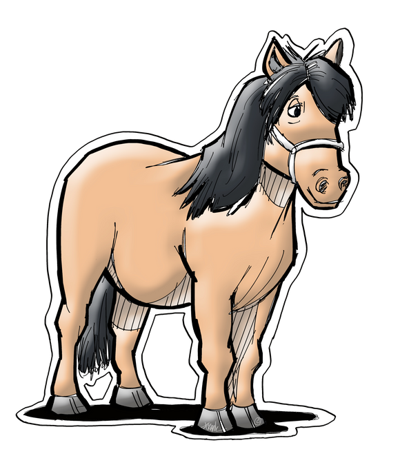 Bailey the Pony Collection