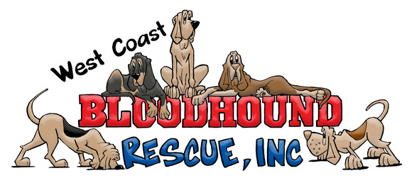 West Coast Bloodhounds 2021 Logo Stuff