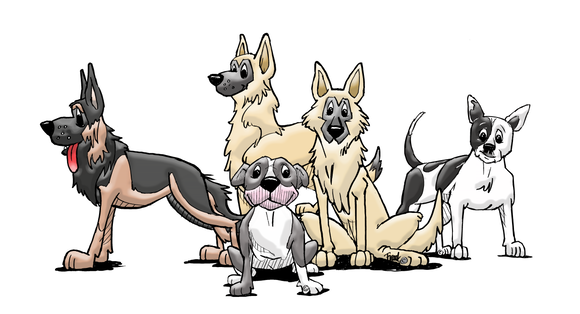 The Taffy Crew Collection