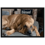 Molly Hound Framed Canvas - The Bloodhound Shop