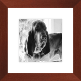 Texas Hound Framed Prints - The Bloodhound Shop