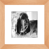 Texas Hound Framed Prints - The Bloodhound Shop