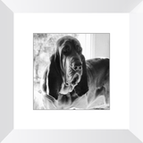 Texas Hound Framed Prints - The Bloodhound Shop