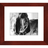 Texas Hound Framed Prints - The Bloodhound Shop