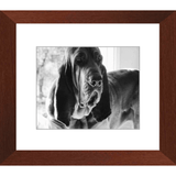 Texas Hound Framed Prints - The Bloodhound Shop