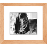 Texas Hound Framed Prints - The Bloodhound Shop