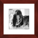 Texas Hound Framed Prints - The Bloodhound Shop