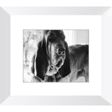 Texas Hound Framed Prints - The Bloodhound Shop