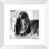 Texas Hound Framed Prints - The Bloodhound Shop