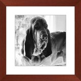 Texas Hound Framed Prints - The Bloodhound Shop