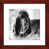 Texas Hound Framed Prints - The Bloodhound Shop