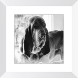 Texas Hound Framed Prints - The Bloodhound Shop