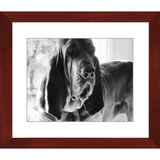 Texas Hound Framed Prints - The Bloodhound Shop