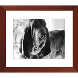 Texas Hound Framed Prints - The Bloodhound Shop