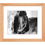 Texas Hound Framed Prints - The Bloodhound Shop