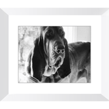 Texas Hound Framed Prints - The Bloodhound Shop