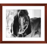 Texas Hound Framed Prints - The Bloodhound Shop