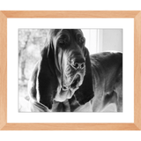 Texas Hound Framed Prints - The Bloodhound Shop