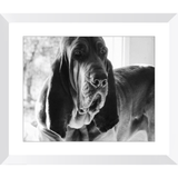 Texas Hound Framed Prints - The Bloodhound Shop