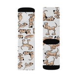 2021 Bloodhound FBC White Sublimation Socks