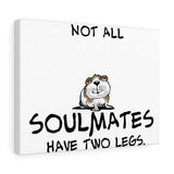 2021 Soulmates Guinea Pig FBC Canvas Gallery Wraps