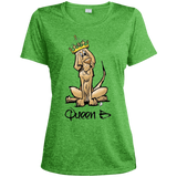 Sibylle Collection Sport-Tek Ladies' Heather Dri-Fit Moisture-Wicking T-Shirt - The Bloodhound Shop