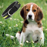 All Dogs Outdoor Light Reflective Puppy Collar - The Bloodhound Shop