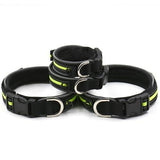 All Dogs Outdoor Light Reflective Puppy Collar - The Bloodhound Shop