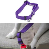Pet Safety Care All Dogs Seat Belt - The Bloodhound Shop