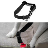 Pet Safety Care All Dogs Seat Belt - The Bloodhound Shop