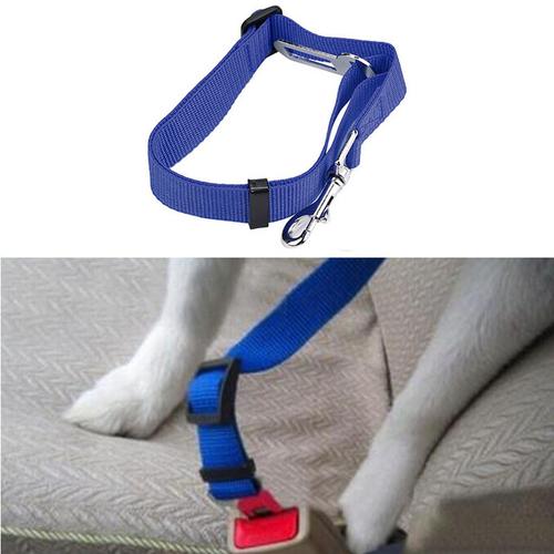 Pet Safety Care All Dogs Seat Belt - The Bloodhound Shop
