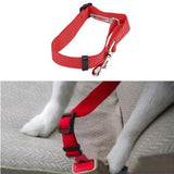 Pet Safety Care All Dogs Seat Belt - The Bloodhound Shop