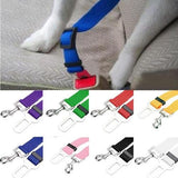Pet Safety Care All Dogs Seat Belt - The Bloodhound Shop