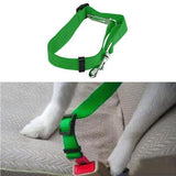 Pet Safety Care All Dogs Seat Belt - The Bloodhound Shop