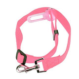 Pet Safety Care All Dogs Seat Belt - The Bloodhound Shop