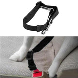 Pet Safety Care All Dogs Seat Belt - The Bloodhound Shop