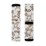 2021 Bloodhound FBC White Sublimation Socks
