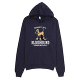 Property of a Hound Hoodie - The Bloodhound Shop