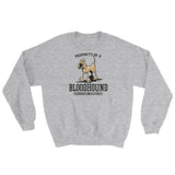 Property of a Hound Sweatshirt - The Bloodhound Shop