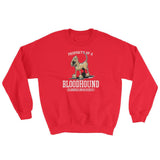 Property of a Hound Sweatshirt - The Bloodhound Shop