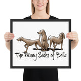 Many Sides of Bella Framed poster - The Bloodhound Shop