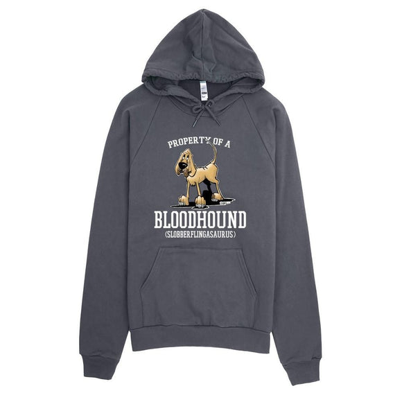 Property of a Hound Hoodie - The Bloodhound Shop