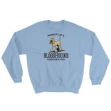 Property of a Hound Sweatshirt - The Bloodhound Shop