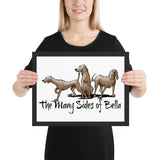Many Sides of Bella Framed poster - The Bloodhound Shop