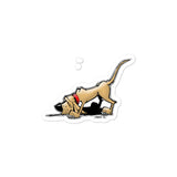Search n Sniff FBC Bubble-free stickers